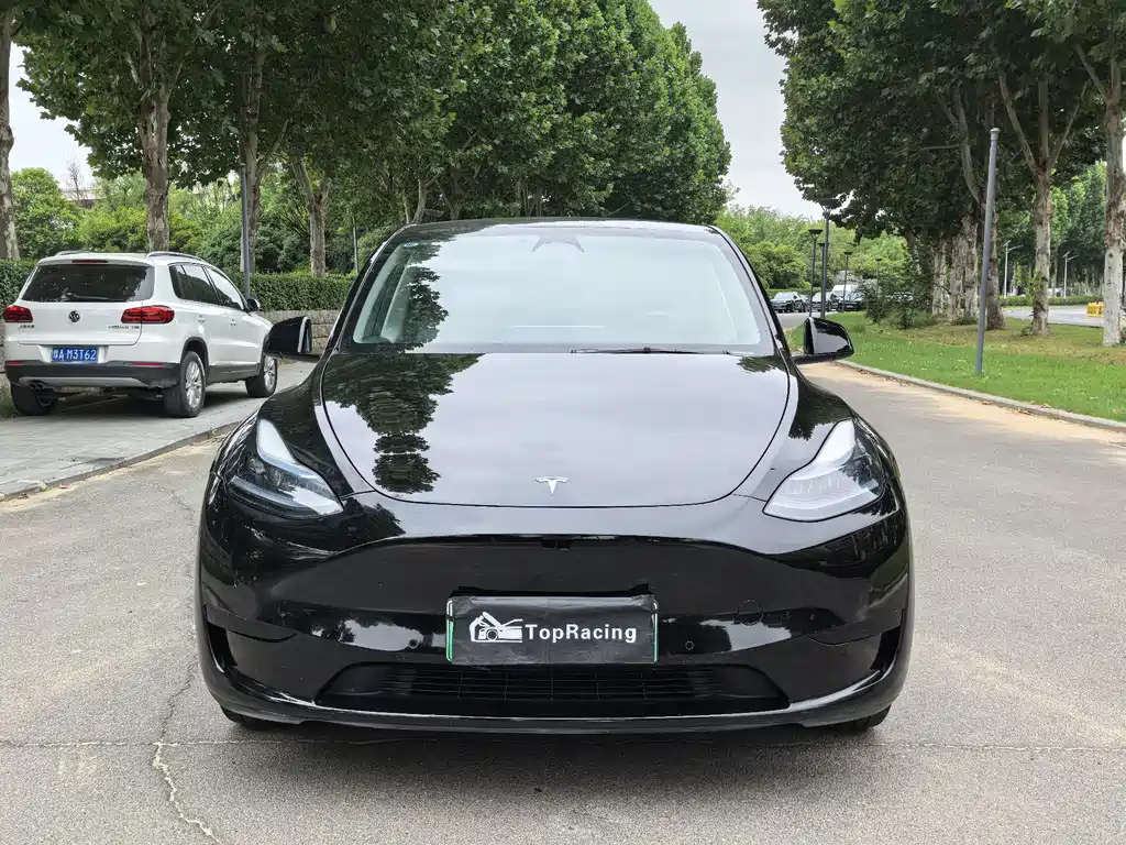 Tesla Model Y — миниатюра 2