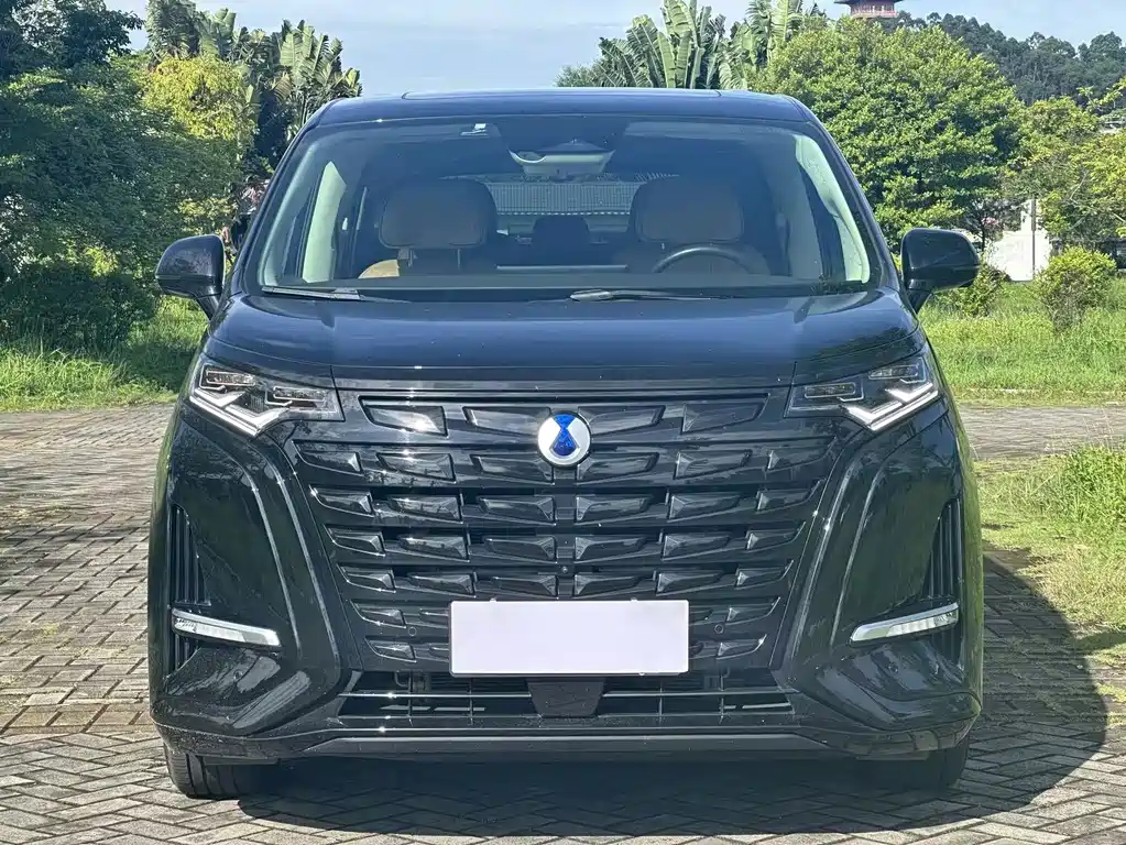 Denza Denza D9 — миниатюра 2
