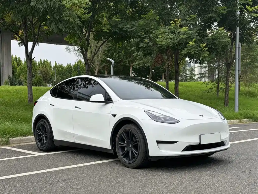Tesla Model Y — миниатюра 3