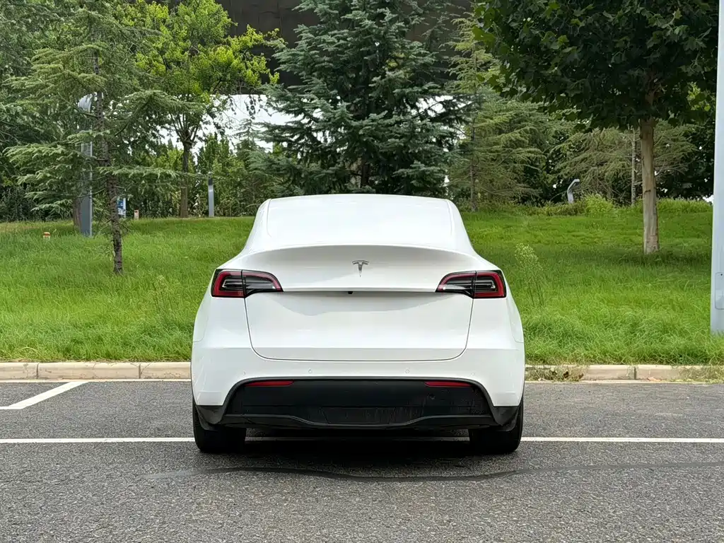Tesla Model Y — миниатюра 9