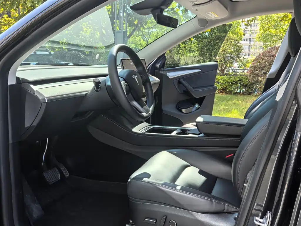 Tesla Model Y — миниатюра 8