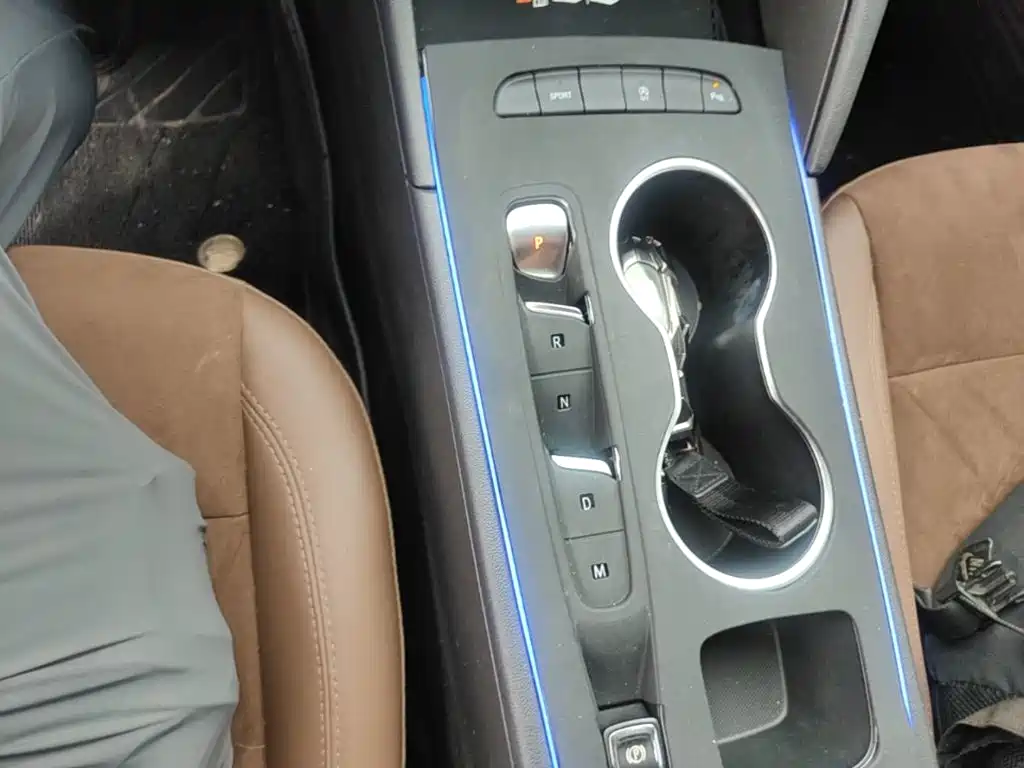 Buick Regal — миниатюра 14
