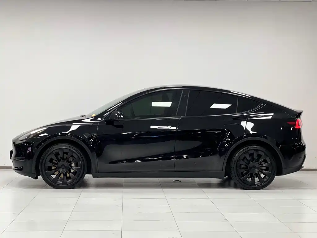 Tesla Model Y — миниатюра 5