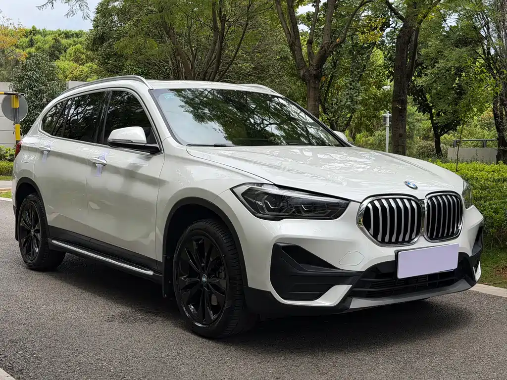BMW X1 — миниатюра 3