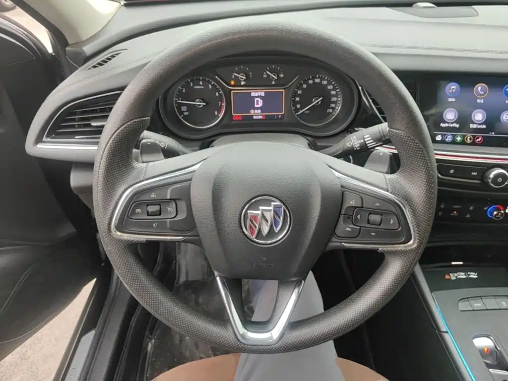 Buick Regal — миниатюра 11