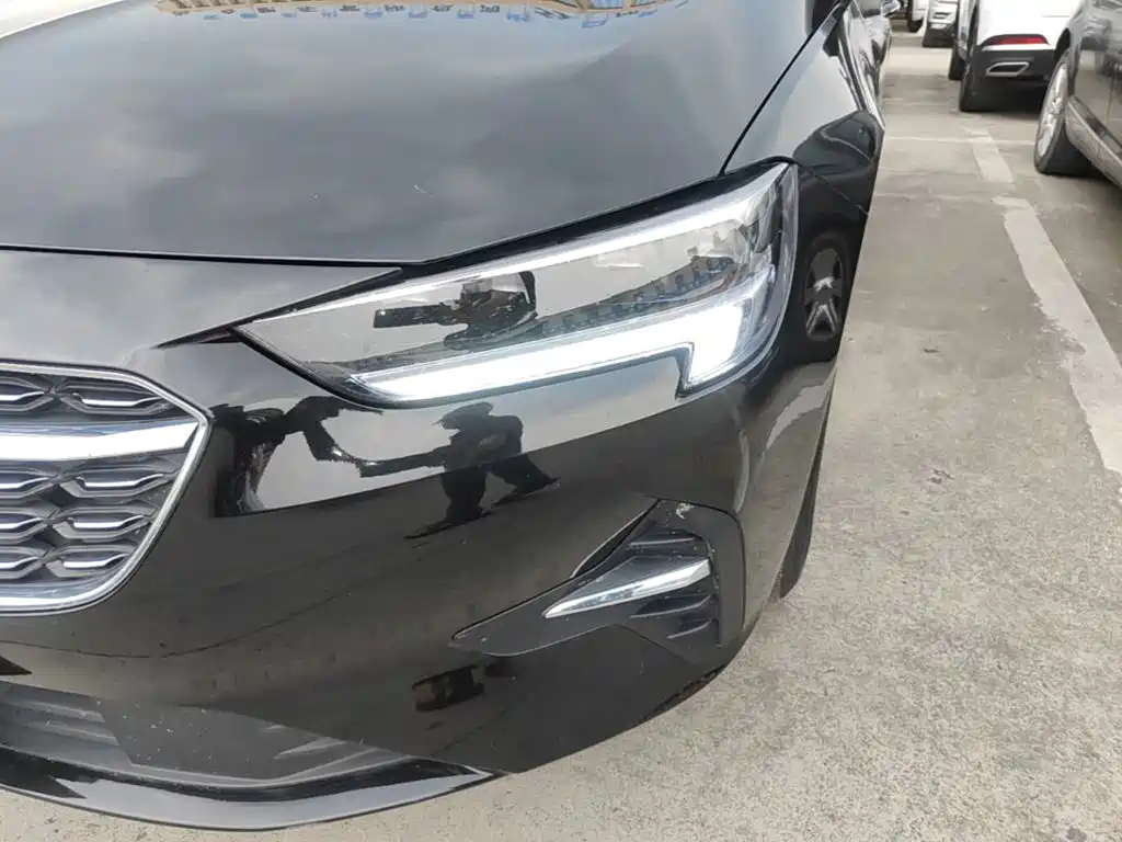 Buick Regal — миниатюра 24