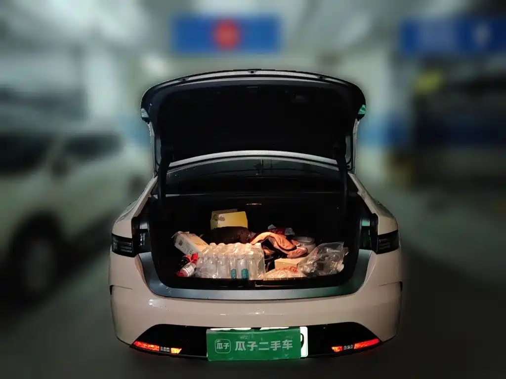 BYD Destroyer 05 — миниатюра 20