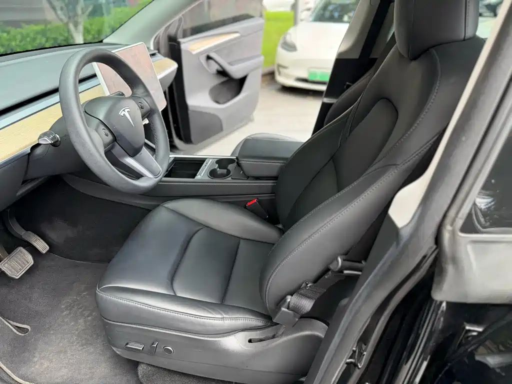 Tesla Model Y — миниатюра 4