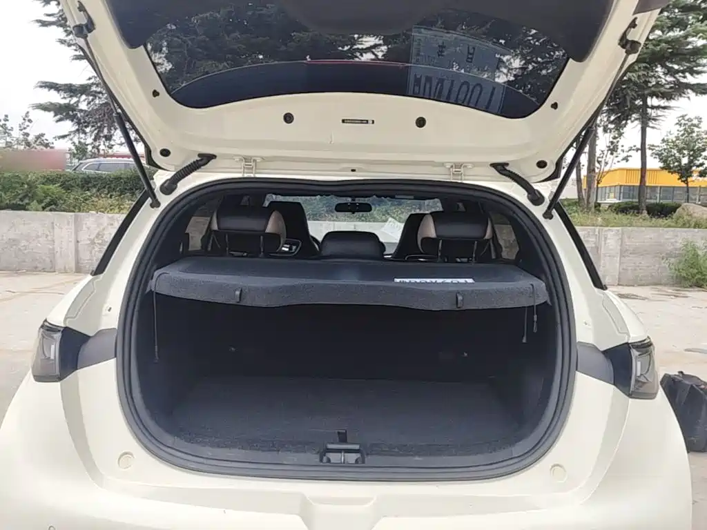 BYD Dolphin — миниатюра 19