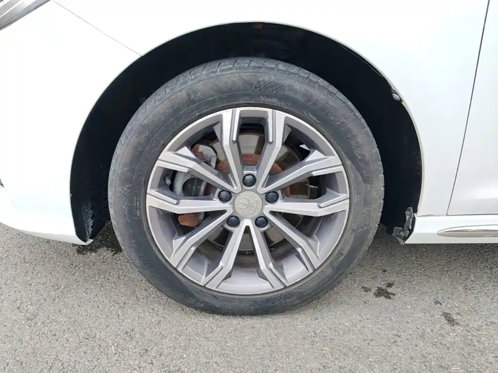 BYD MAX — миниатюра 23