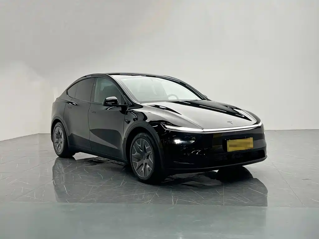 Tesla Model Y L — миниатюра 8