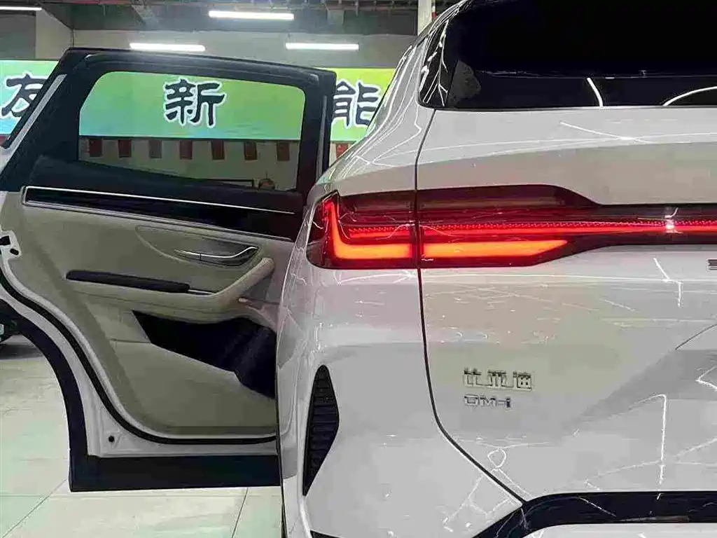 BYD PLUS New Energy — миниатюра 22
