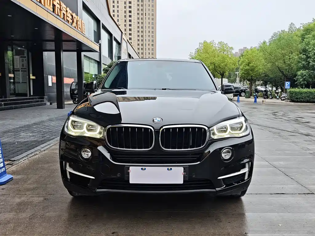 BMW X5 (Import) — миниатюра 2