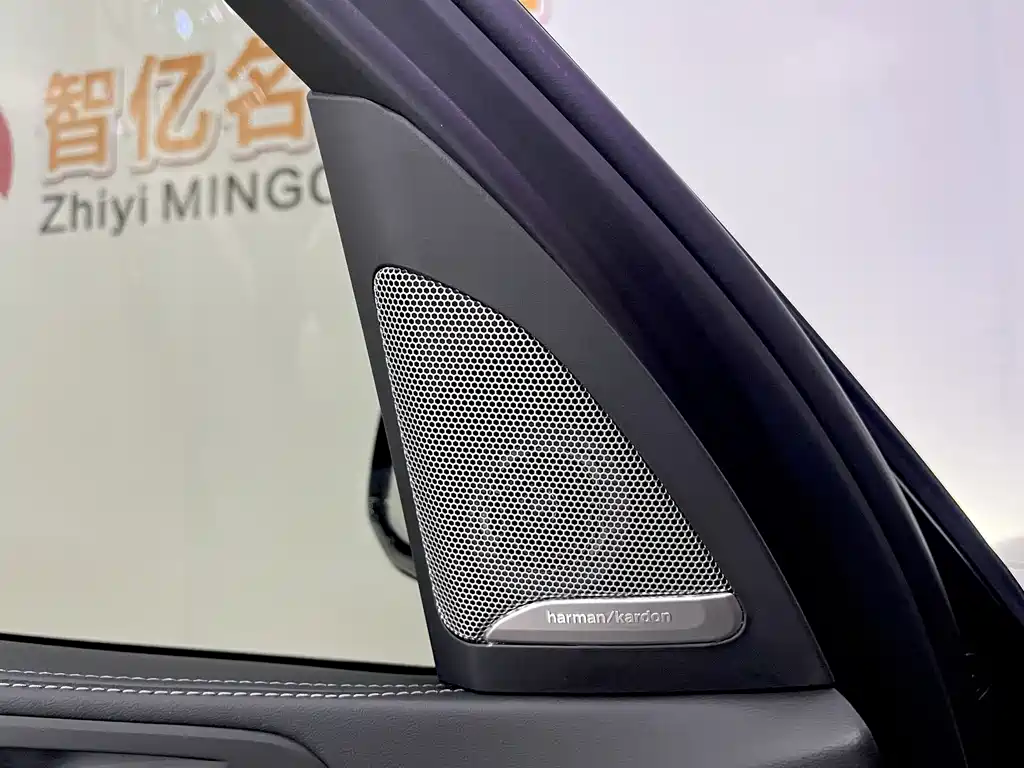 BMW X5 — миниатюра 7