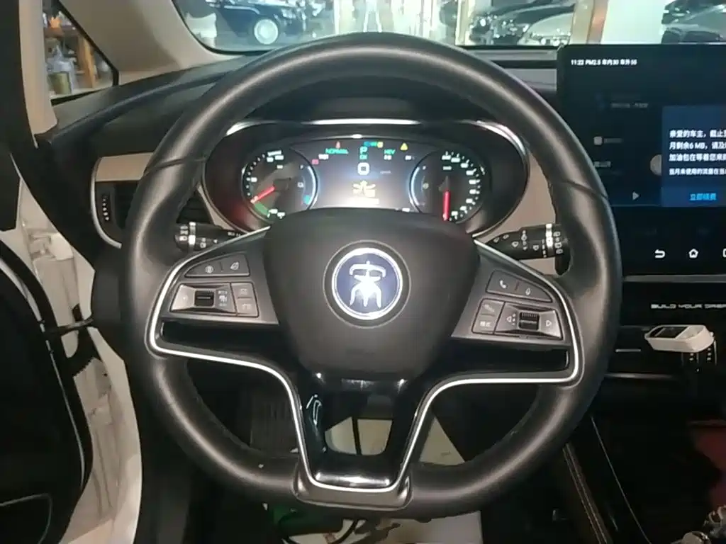 BYD MAX New Energy — миниатюра 11