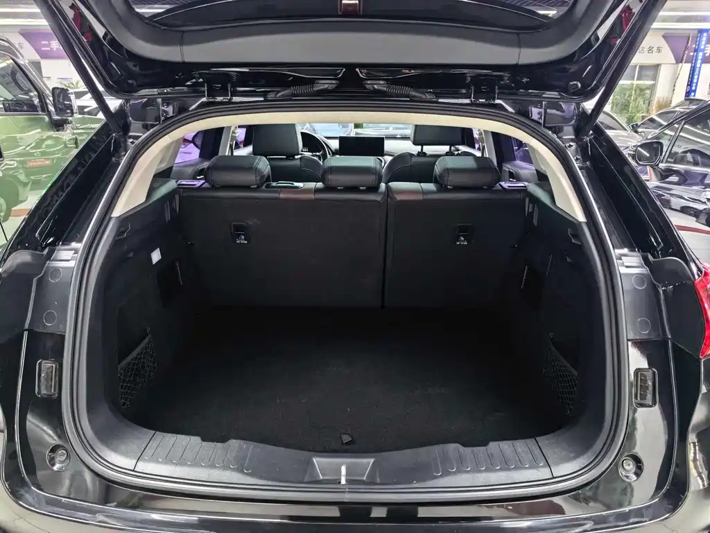 WEI PAI WEI BRAND VV5