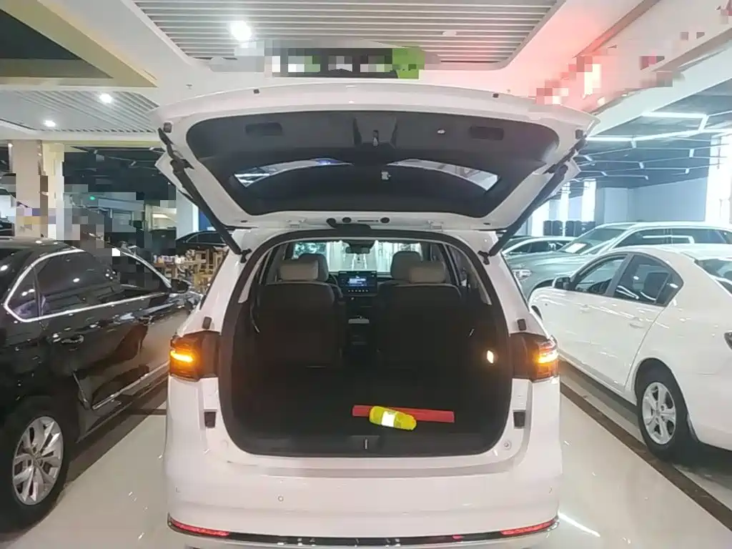 BYD MAX New Energy — миниатюра 19