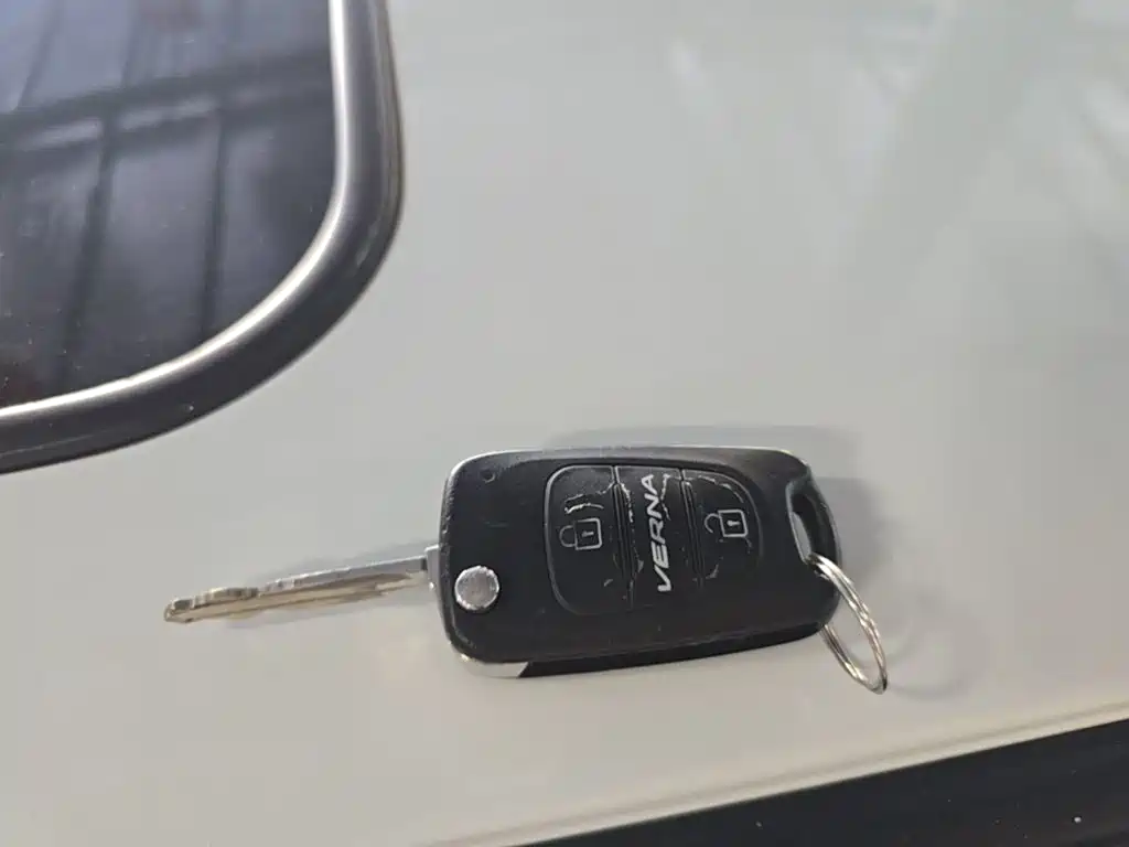 Hyundai Ruiyi — миниатюра 9