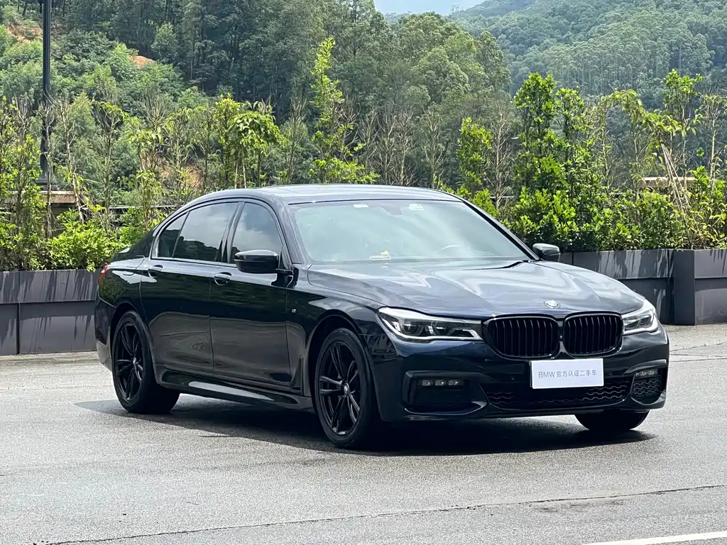 BMW 7 Series 730Li Premium Type M Sport Package, фото 3