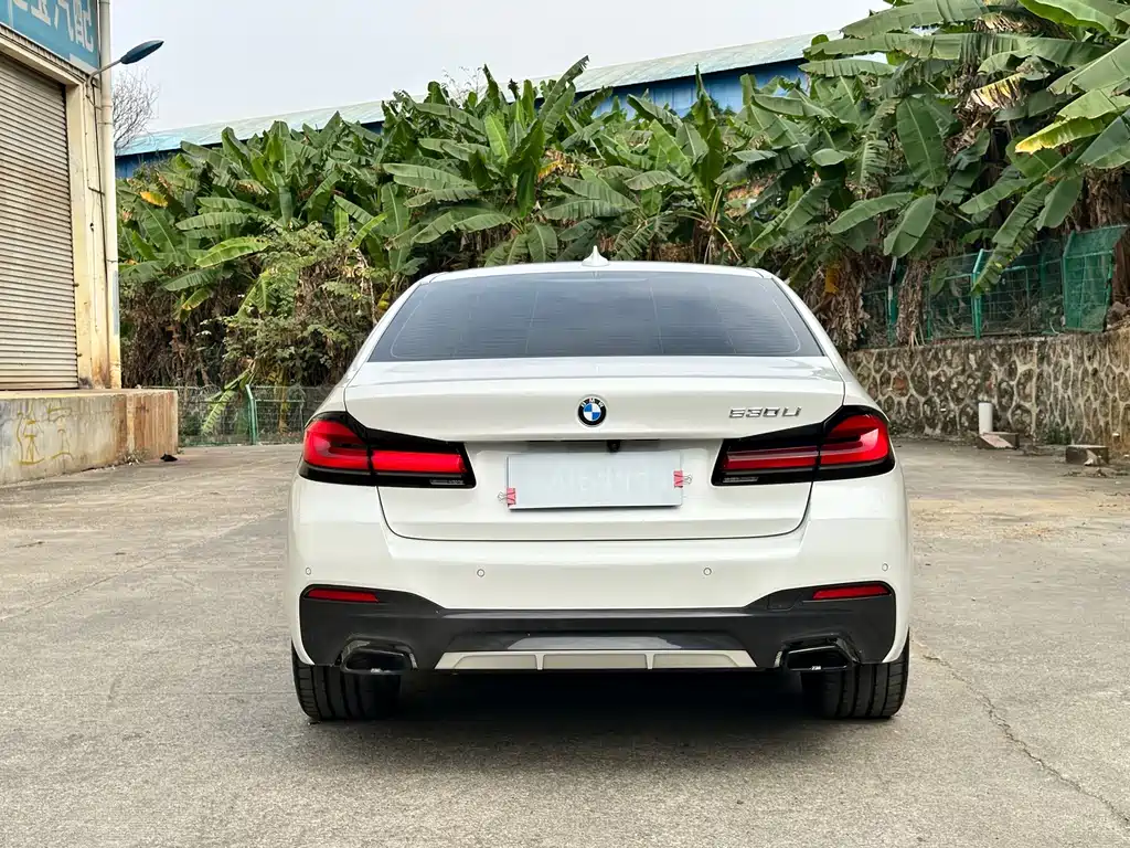 BMW 5 Series — миниатюра 3