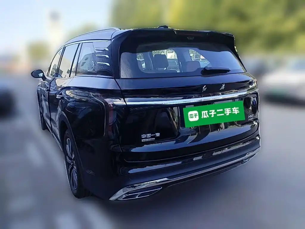 Hongqi Hongqi HS7 PHEV — миниатюра 7