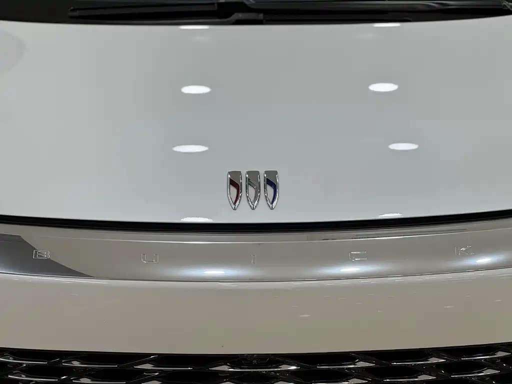 Buick Century — миниатюра 11