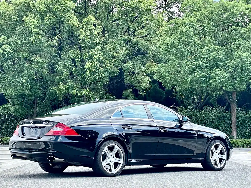 Mercedes-Benz CLS 2008 CLS 500