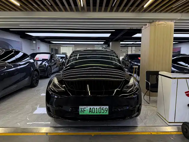 TESLA MODEL Y 2021