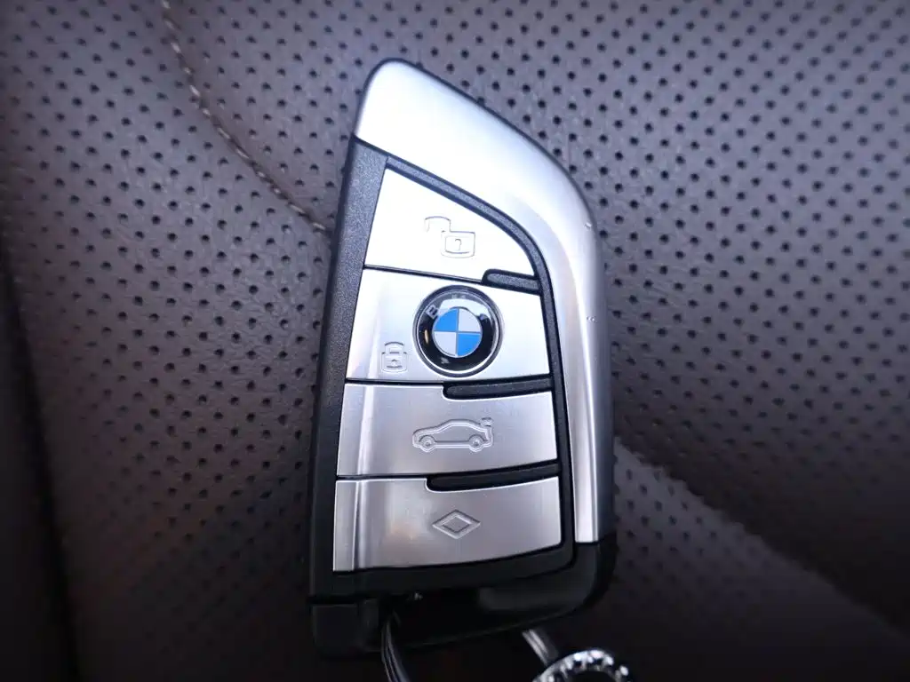 BMW X5 — миниатюра 26