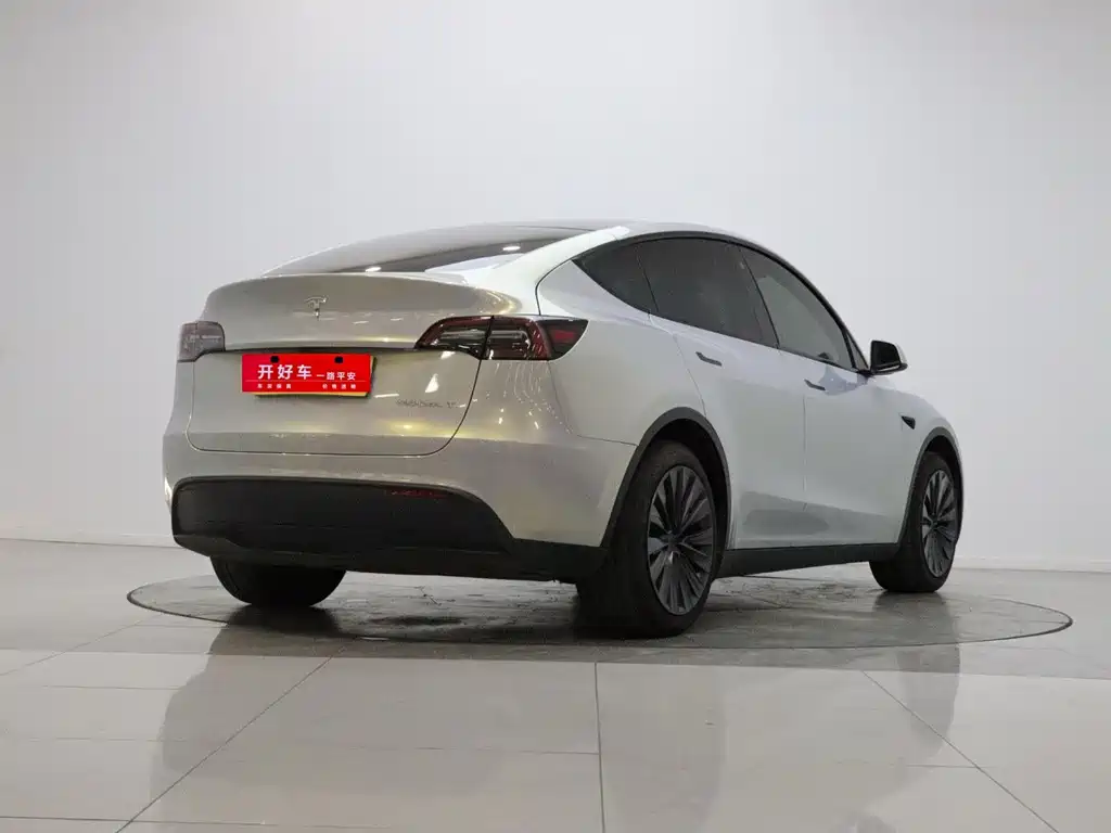 Tesla Model Y — миниатюра 4