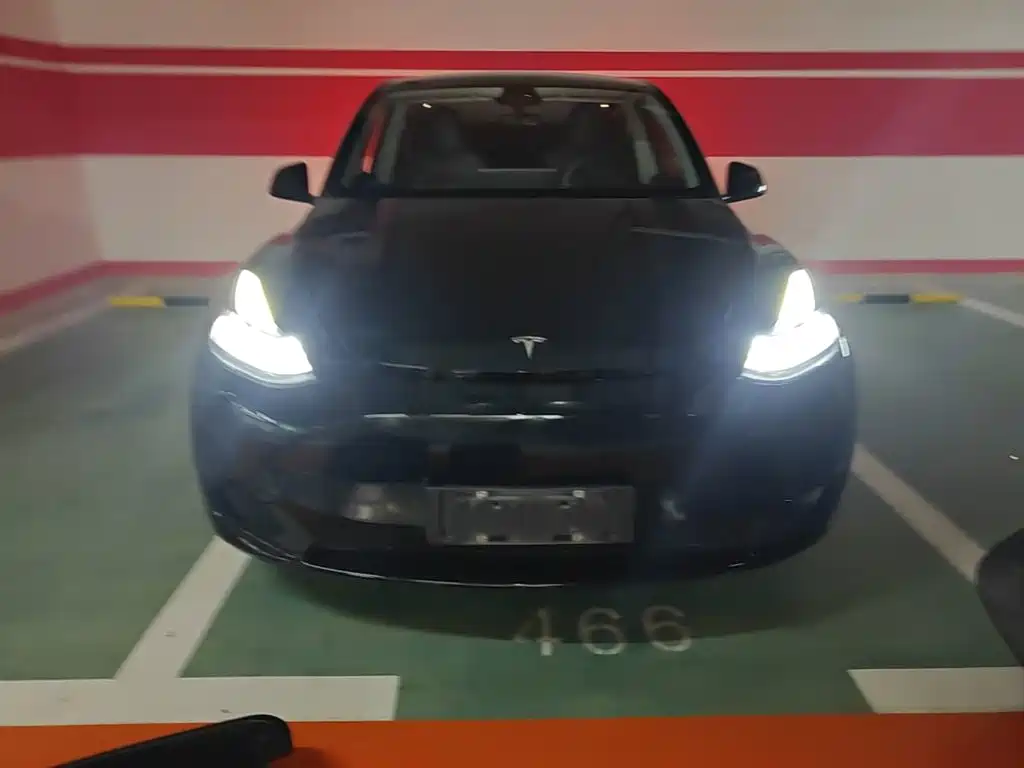 Tesla Model Y — миниатюра 3