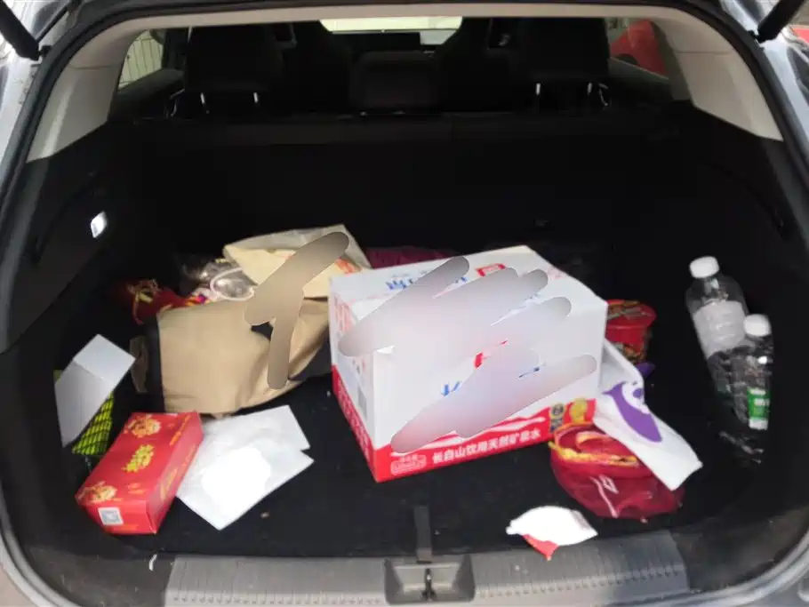 ROEWE RX5 NEW ENERGY