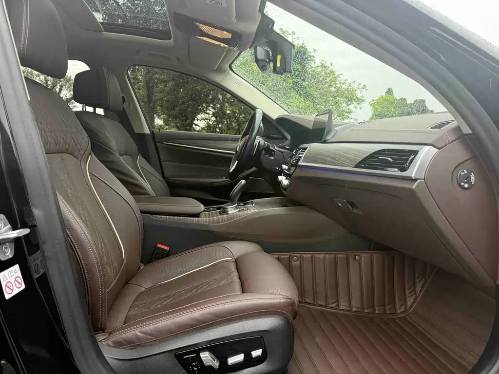BMW 5 Series 5 2020 530Li Premium Luxury