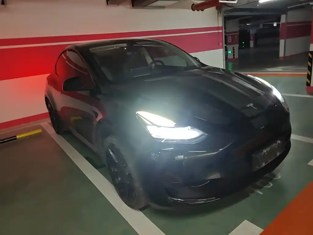 Tesla Model Y — миниатюра 4