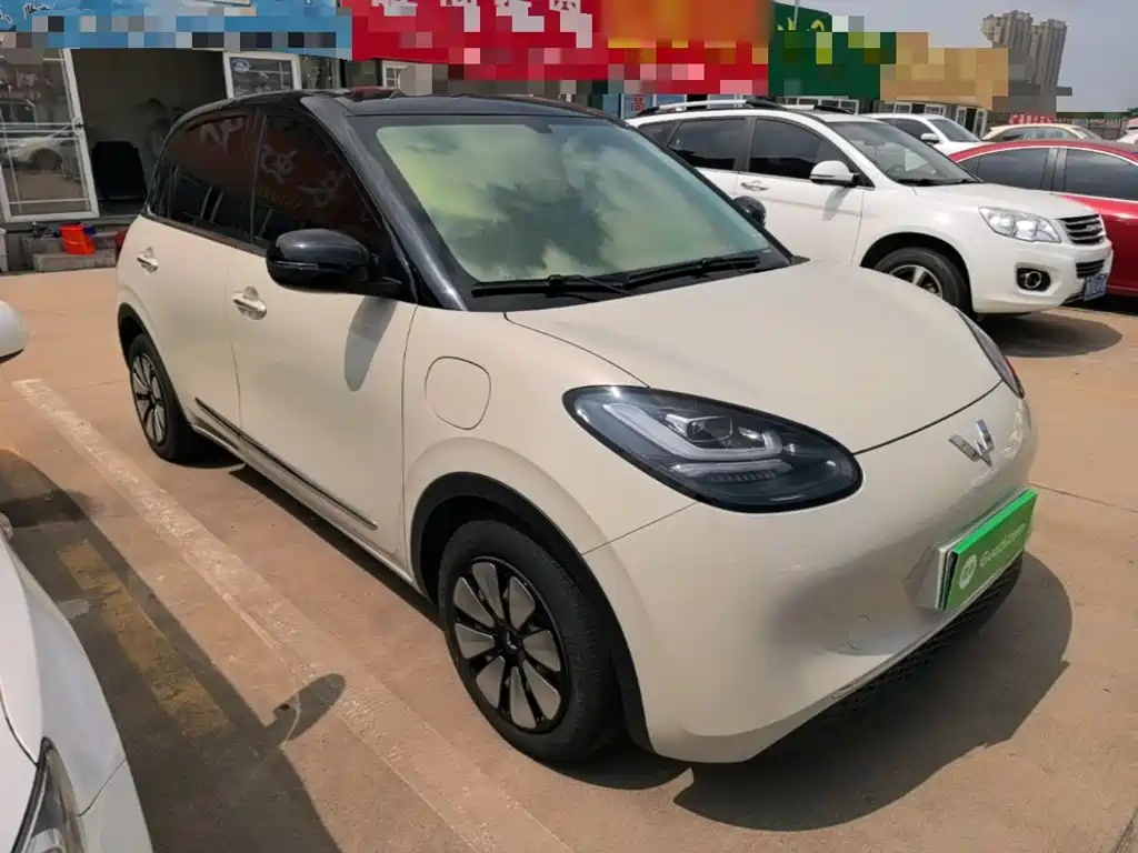 Wuling Binguo 2024 333km
