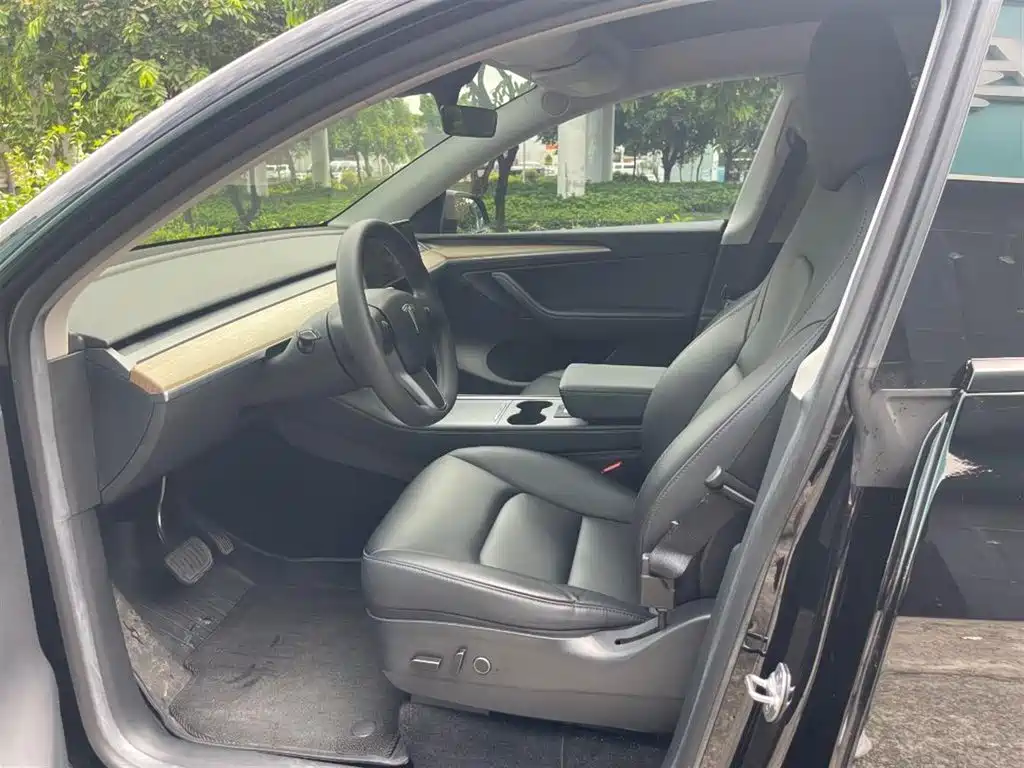 Tesla Model Y — миниатюра 4