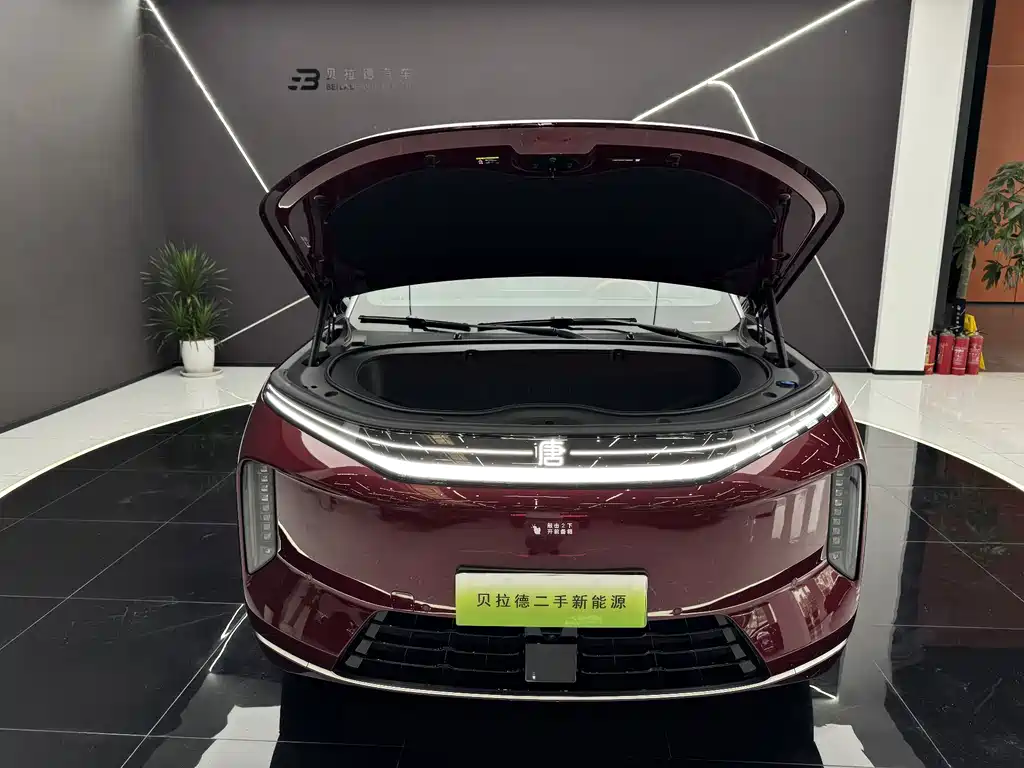 BYD Datang — миниатюра 6