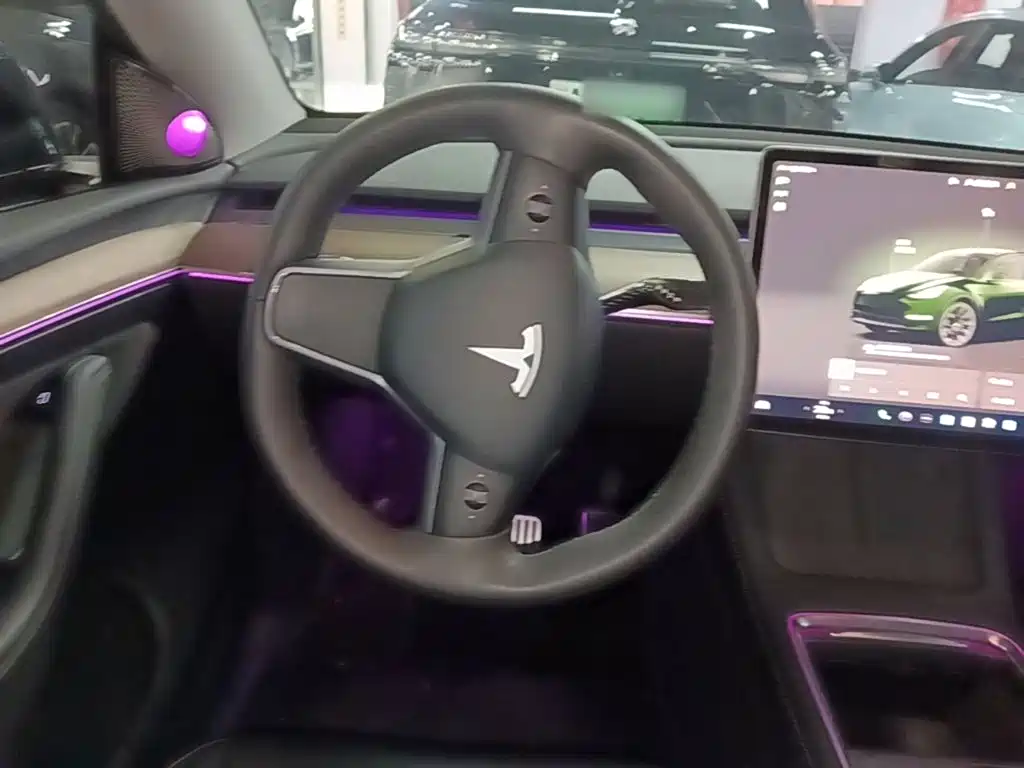 Tesla Model Y — миниатюра 11