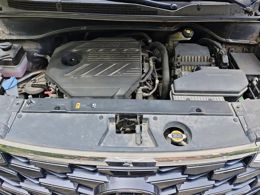 Hyundai Custo 2021 380TGDi Luxury LUX Premium