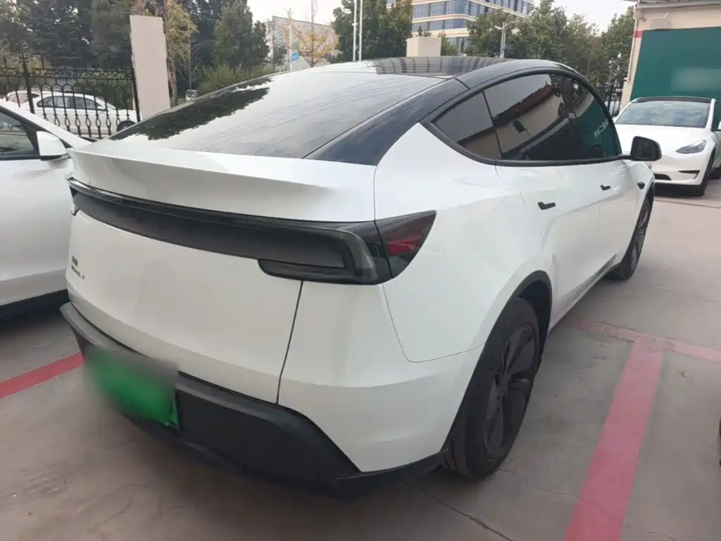 Tesla Model Y — миниатюра 7