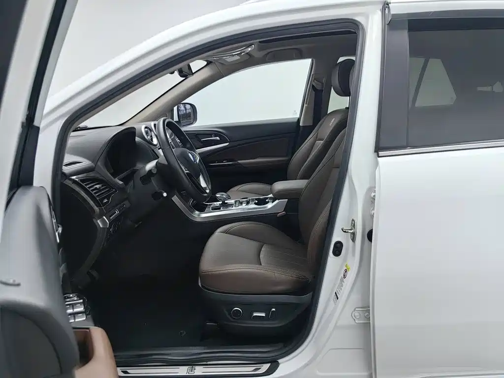 BYD Tang New Energy — миниатюра 10