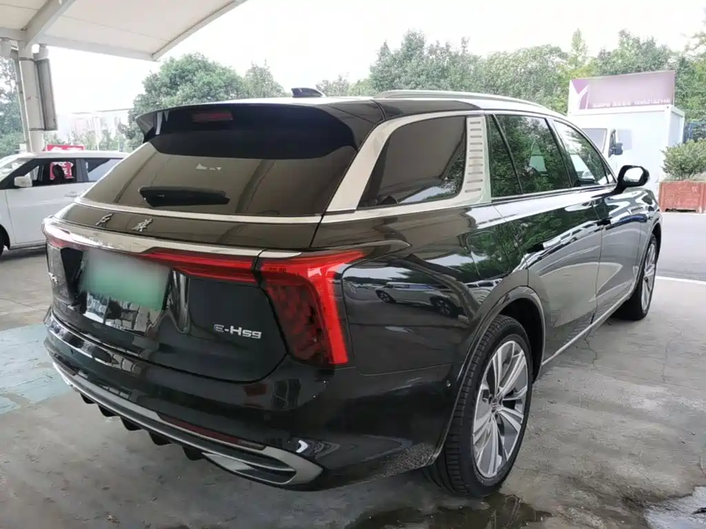 Hongqi Hongqi E-HS9 — миниатюра 7
