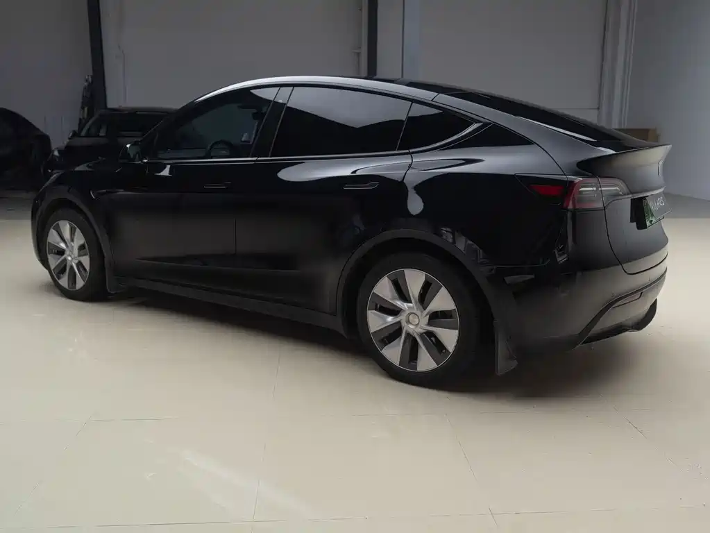Tesla Model Y — миниатюра 7