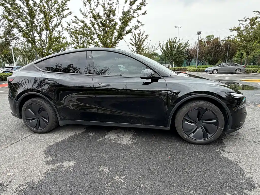 Tesla Model Y — фотографии объявления, Фото 17