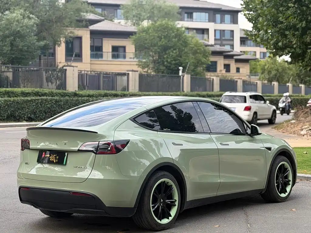 Tesla Model Y — миниатюра 7