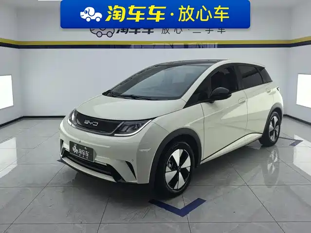 2023 BYD Dolphin