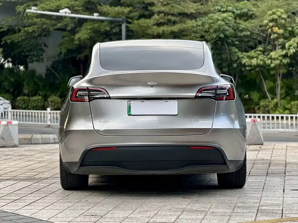 Tesla Model Y — миниатюра 6