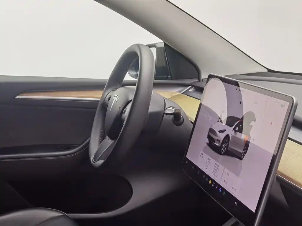 Tesla Model Y — миниатюра 22