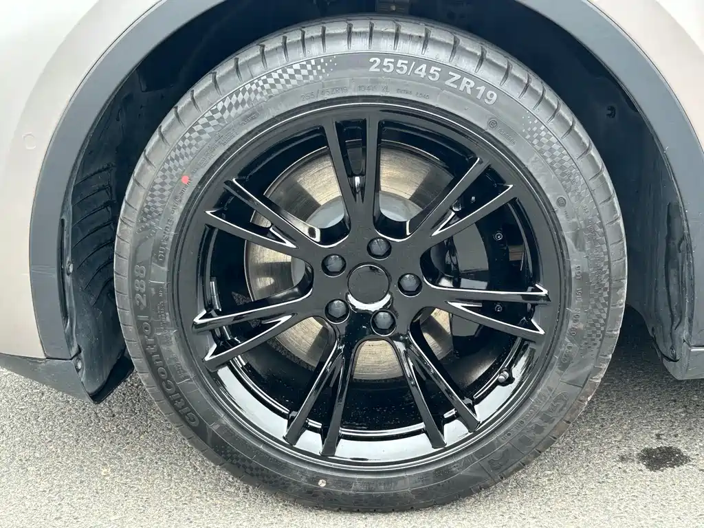 Tesla Model Y — миниатюра 10