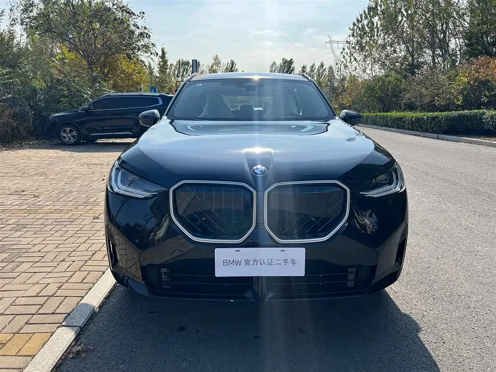 BMW X3 — миниатюра 2